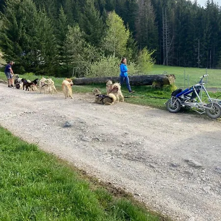 Le Pied Des Pistes, 5 Pers, Balcon Sud Est, Vue Sur Les Montagnes Apartmán *