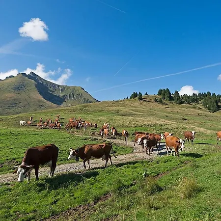Le Pied Des Pistes, 5 Pers, Balcon Sud Est, Vue Sur Les Montagnes