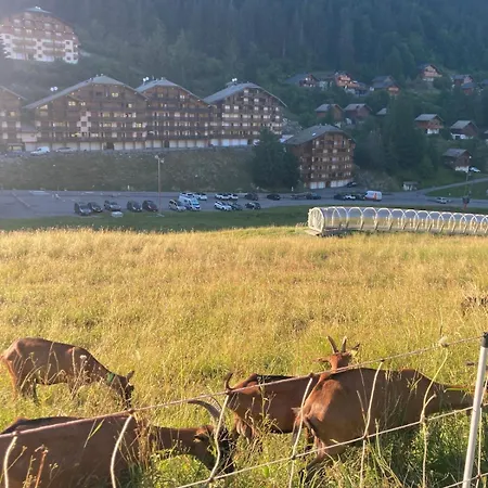 Le Pied Des Pistes, 5 Pers, Balcon Sud Est, Vue Sur Les Montagnes