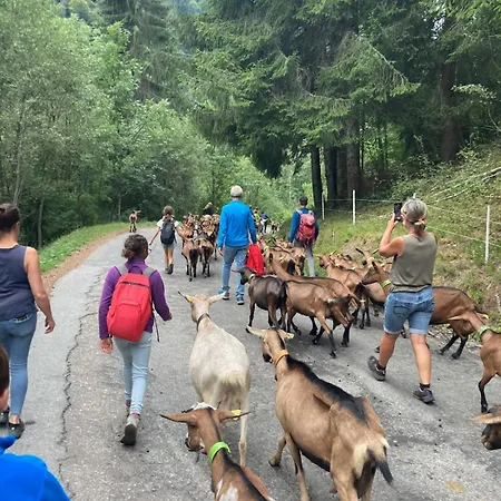 Le Pied Des Pistes, 5 Pers, Balcon Sud Est, Vue Sur Les Montagnes Apartmán *